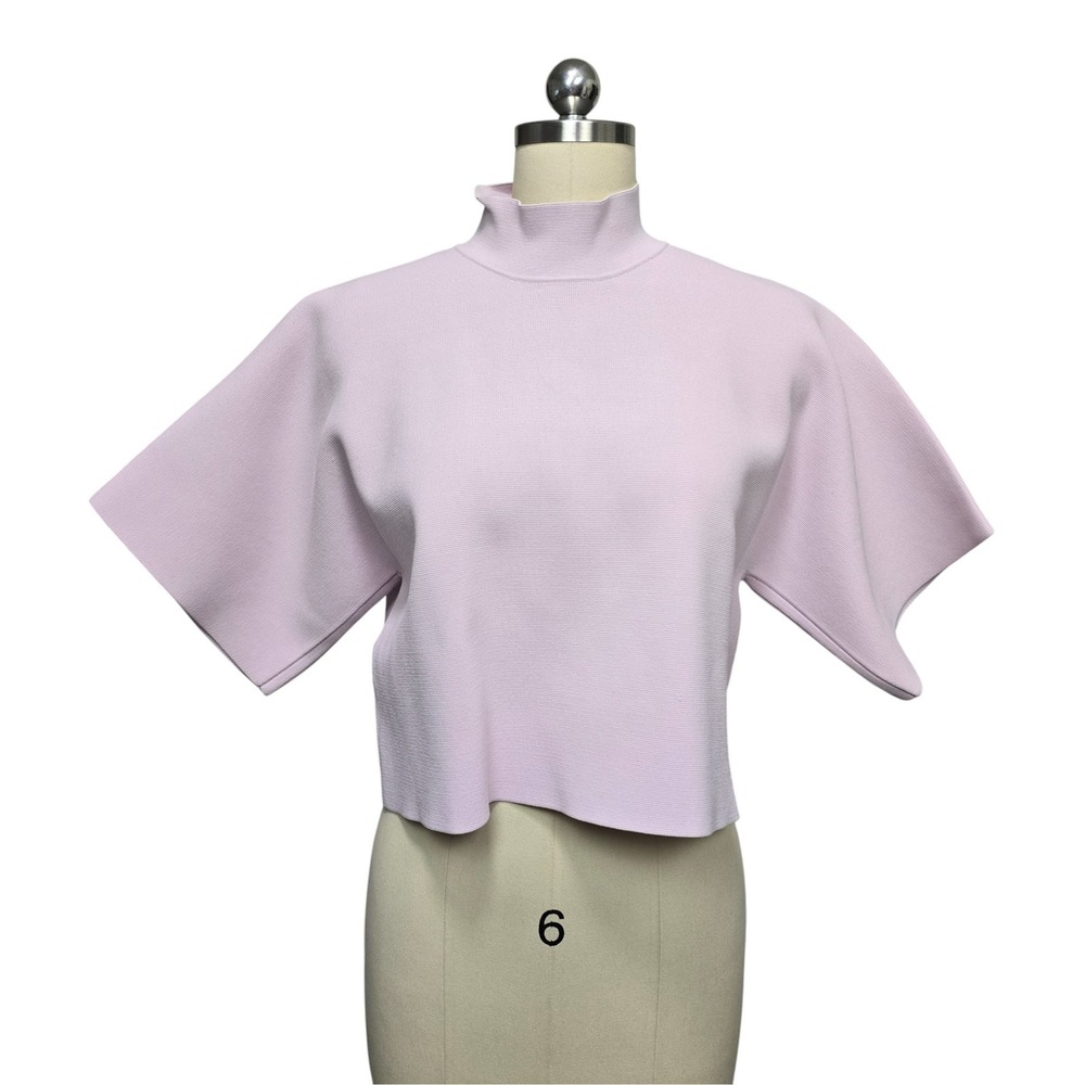 Herve Leger Paris Cropped Mock Neck Dolman Sleeve Top Lilac Size Medium